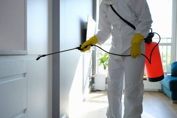 Mold Removal and Inspection in Rutherford, TN