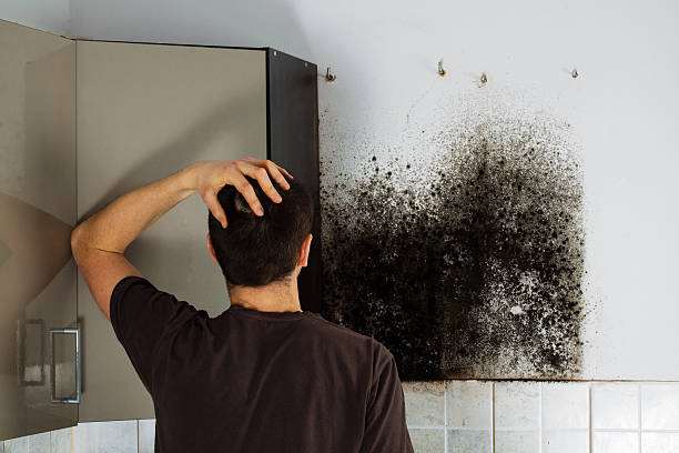 Best Crawl Space Mold Removal  in Rutherford, TN